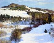 威拉德勒罗伊梅特卡夫 - Cornish Hills